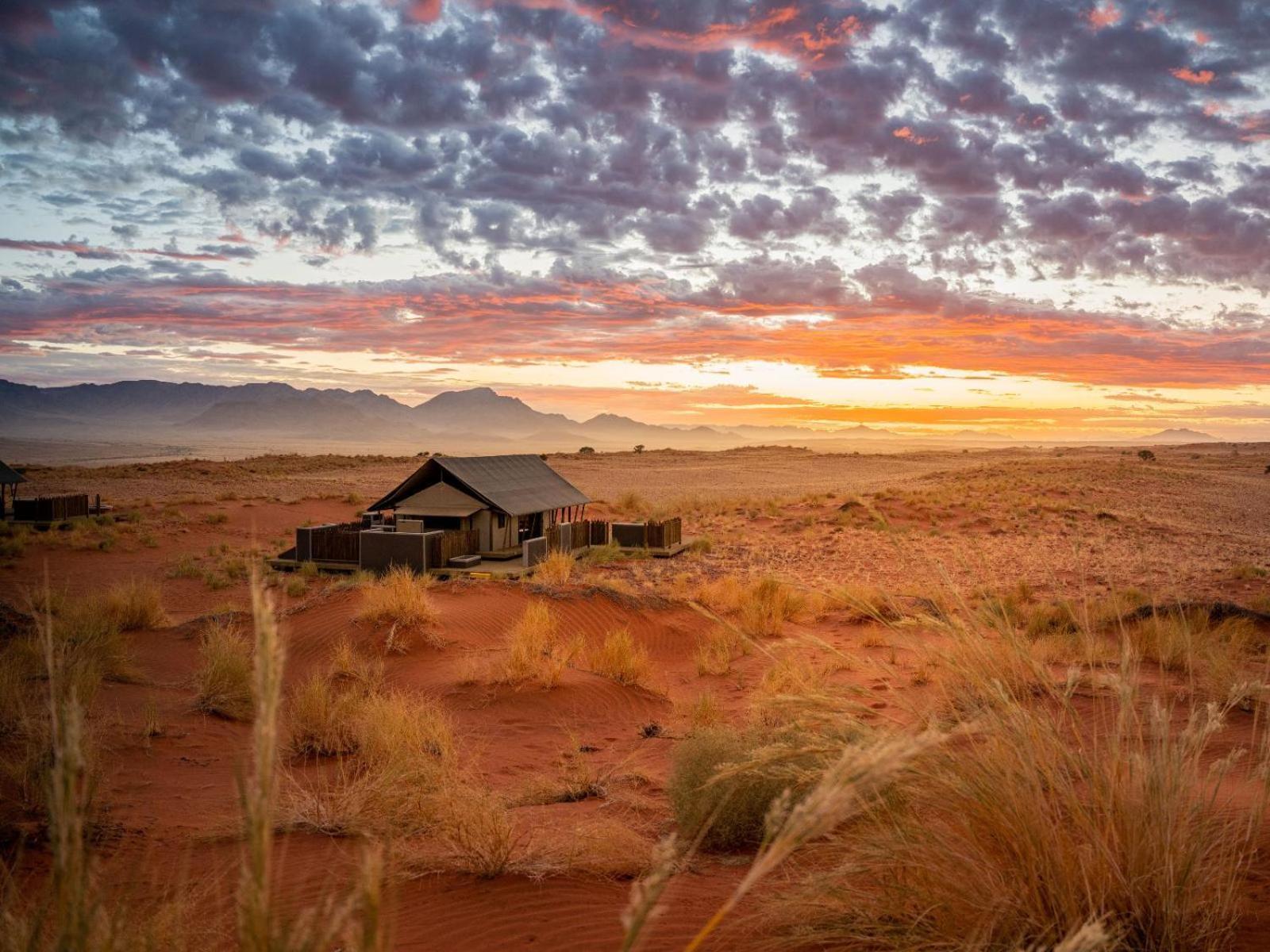 Wolwedans Dune Camp NamibRand Eksteriør billede